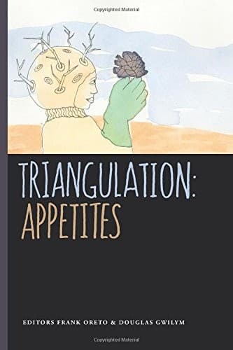 Portada de Triangulation