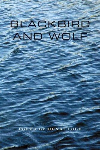 Portada de Blackbird and wolf