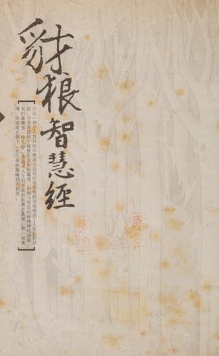 Portada de Chai lang zhi hui jing