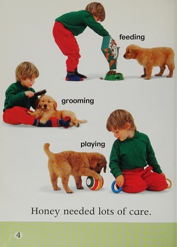 Portada de Dog Named Honey