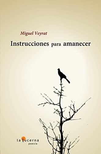 Portada de Instrucciones para amanecer