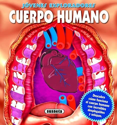 Portada de Jóvenes exploradores. Cuerpo humano