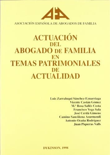 Portada de Actuación del abogado de familia en temas patrimoniales de actualidad