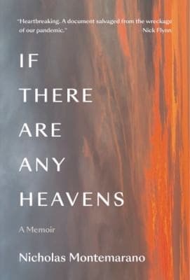 Portada de If There Are Any Heavens