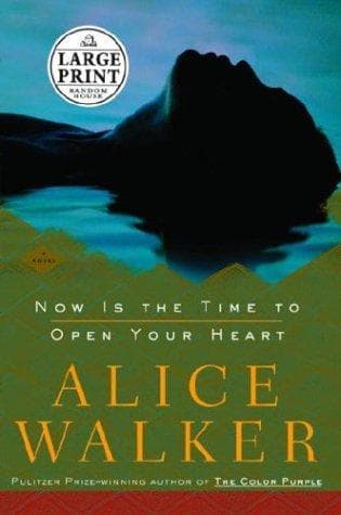 Portada de Now is the Time to Open Your Heart