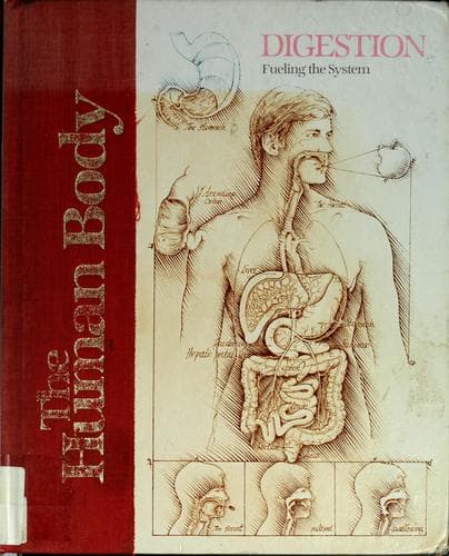 Portada de Digestion