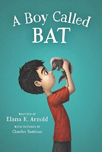 Portada de A boy called Bat